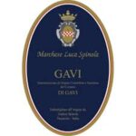 gavi